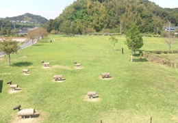 わんぱく広場